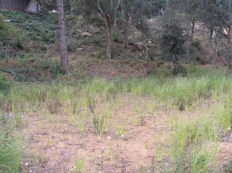 a tan solo 2 km de la encantadora Lloret de Mar en la Costa Brava, esta parcela se sitúa en la prestigiosa