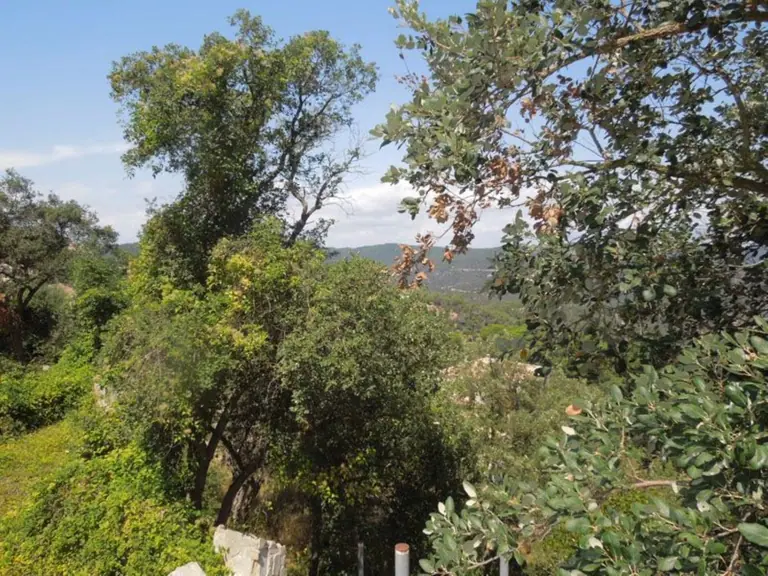 una parcela en la urbanización Serra Brava, a unos 2km de Lloret de mar/Costa Brava