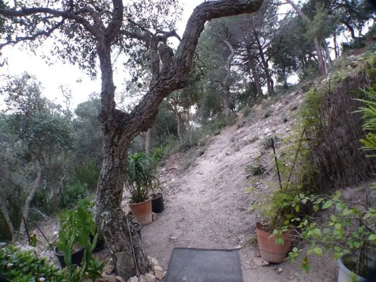 La parcela en Urcasa, una urbanización entre Lloret de Mar y Tossa de Mar