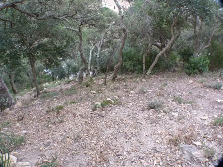 La parcela en Urcasa, una urbanización entre Lloret de Mar y Tossa de Mar