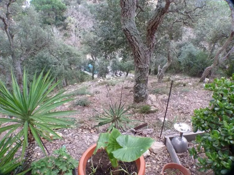 La parcela en Urcasa, una urbanización entre Lloret de Mar y Tossa de Mar