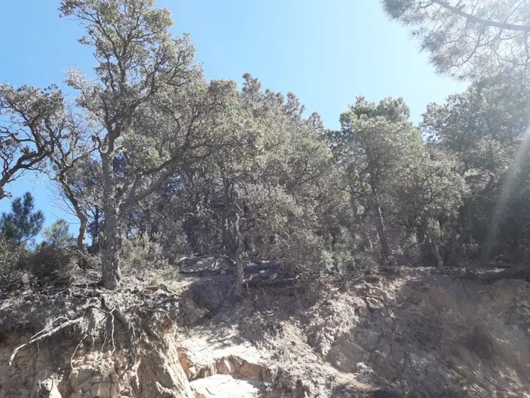 Fantástica parcela de 928 m2