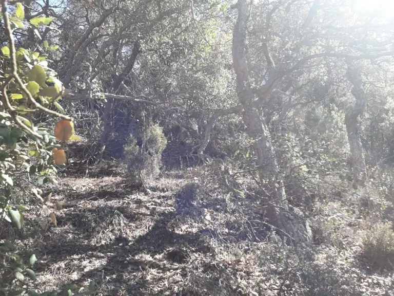 Fantástica parcela de 928 m2