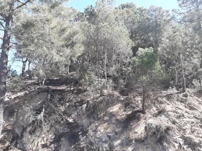 Fantástica parcela de 928 m2