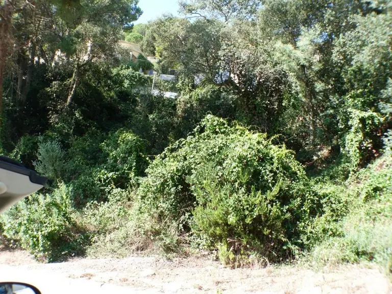 Parcela, situada en urbanización Serra Brava, entre Lloret de Mar y Tossa de mar