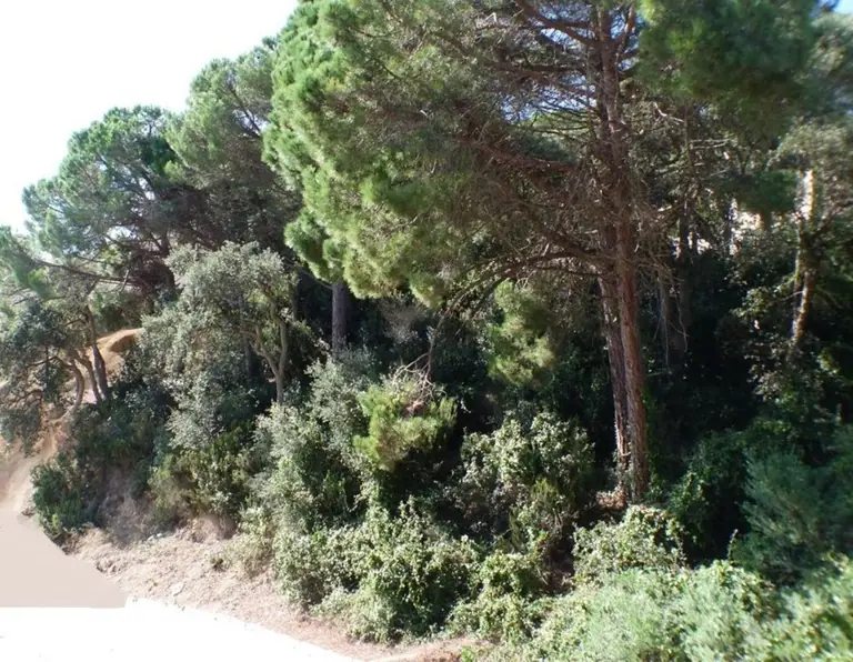 Parcela, situada en urbanización Serra Brava, entre Lloret de Mar y Tossa de mar