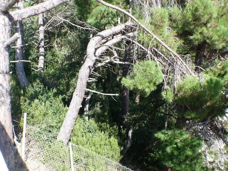 Parcela, situada en urbanización Serra Brava, entre Lloret de Mar y Tossa de mar