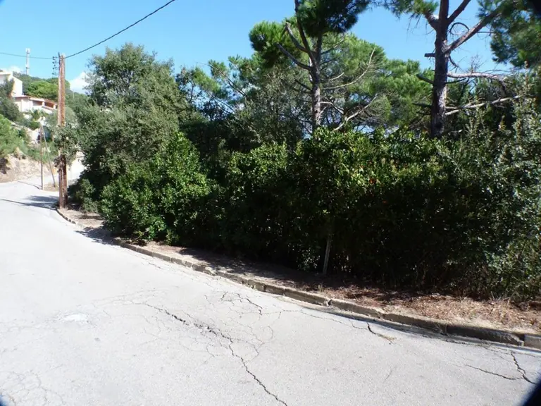 Parcela, situada en urbanización Serra Brava, entre Lloret de Mar y Tossa de mar