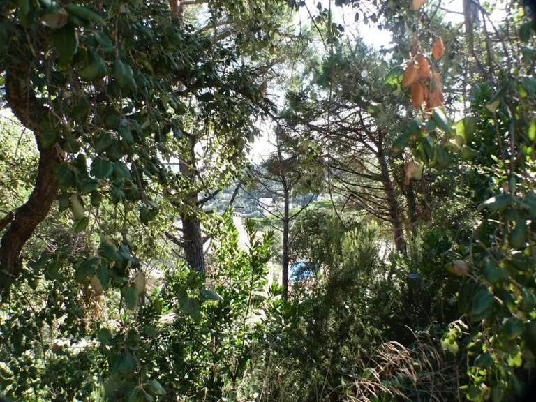 Parcela, situada en urbanización Serra Brava, entre Lloret de Mar y Tossa de mar