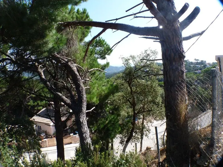 Parcela, situada en urbanización Serra Brava, entre Lloret de Mar y Tossa de mar