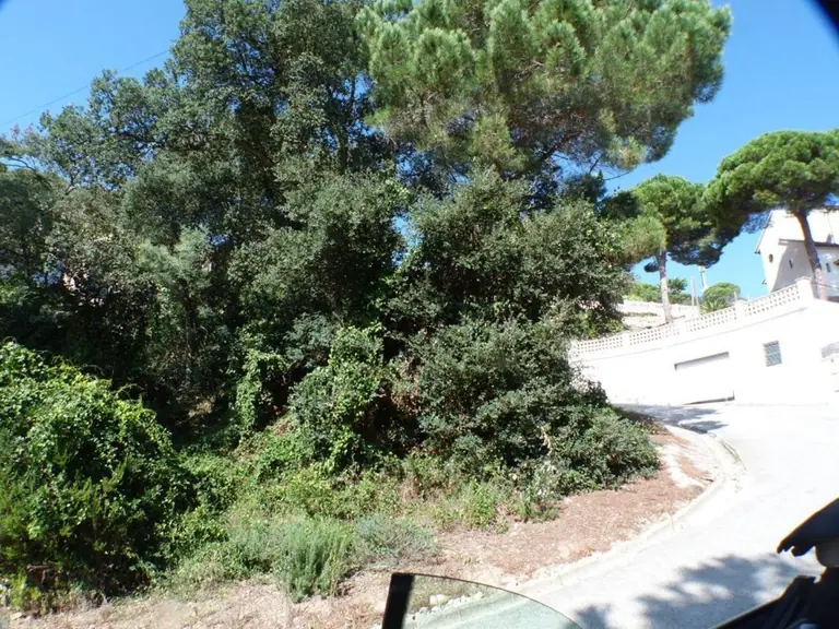 Parcela, situada en urbanización Serra Brava, entre Lloret de Mar y Tossa de mar