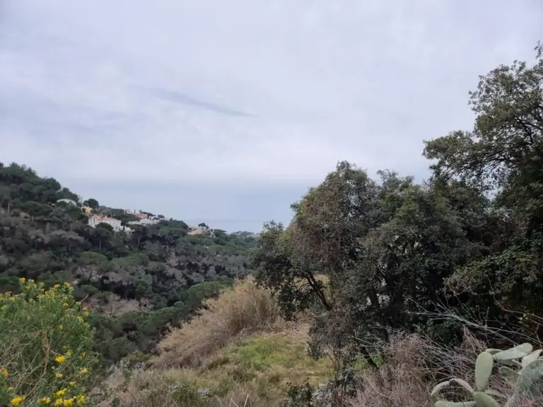 Solar de 1