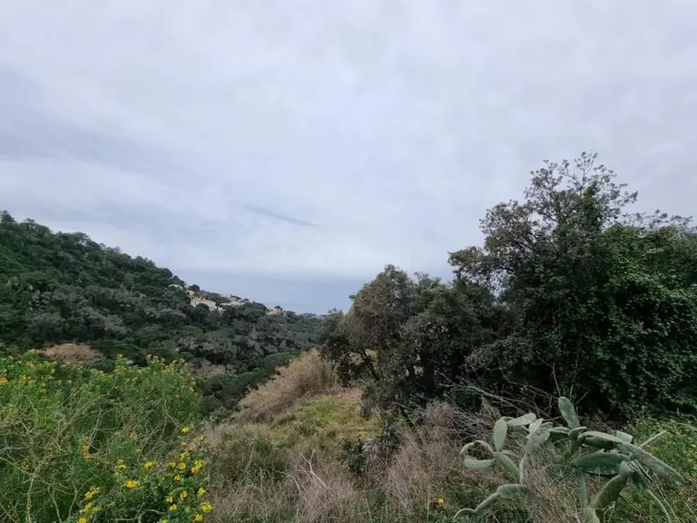 Solar de 1