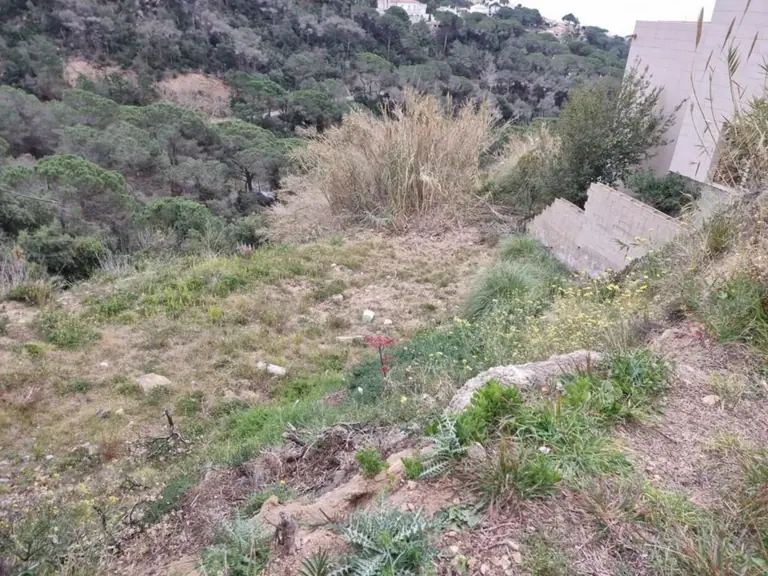Solar de 1