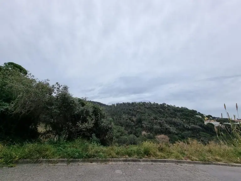 Solar de 1