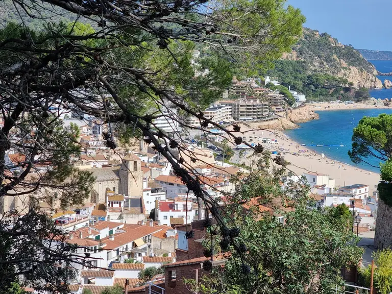Parcelas Exclusivas en Tossa de Mar: ¡Tu Escapada Mediterránea Espera!