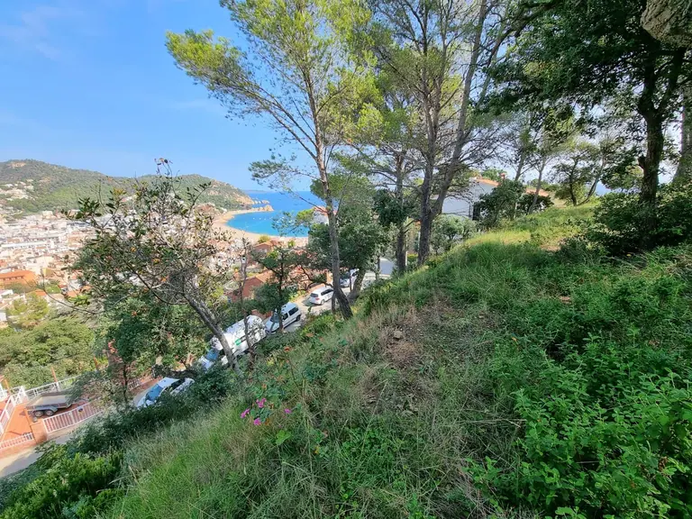 Parcelas Exclusivas en Tossa de Mar: ¡Tu Escapada Mediterránea Espera!