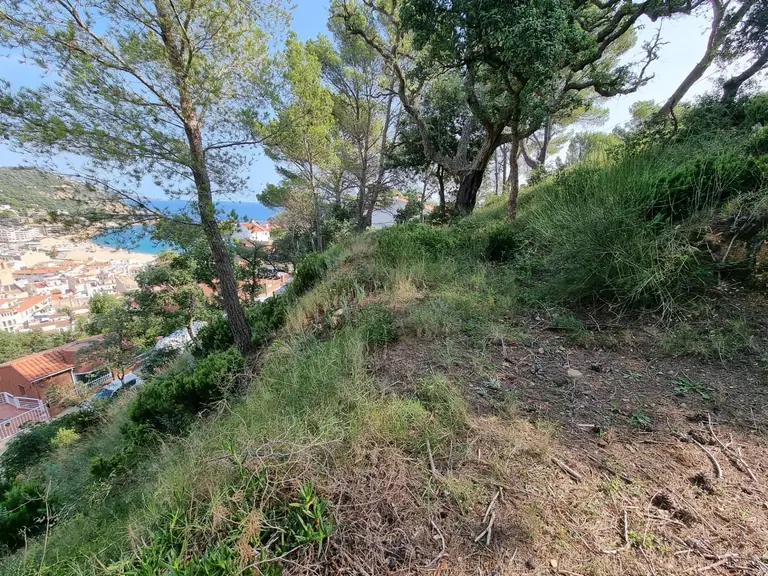 Parcelas Exclusivas en Tossa de Mar: ¡Tu Escapada Mediterránea Espera!