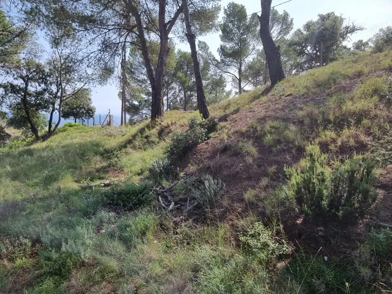 Parcelas Exclusivas en Tossa de Mar: ¡Tu Escapada Mediterránea Espera!