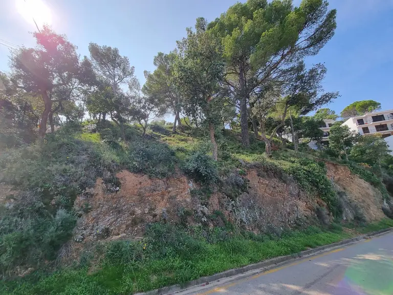 Parcelas Exclusivas en Tossa de Mar: ¡Tu Escapada Mediterránea Espera!