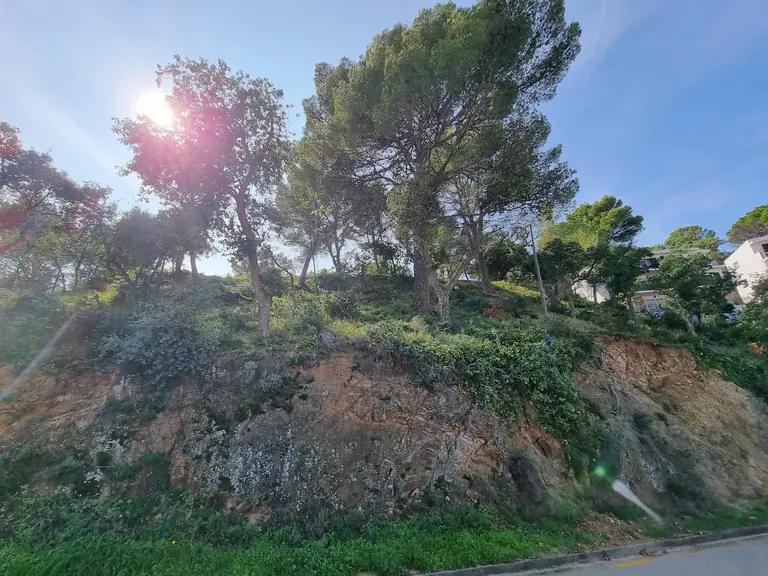 Parcelas Exclusivas en Tossa de Mar: ¡Tu Escapada Mediterránea Espera!