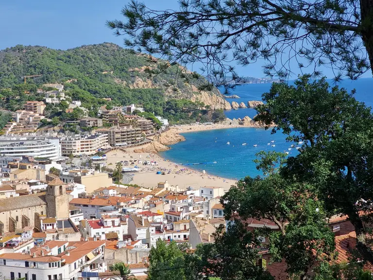 Parcelas Exclusivas en Tossa de Mar: ¡Tu Escapada Mediterránea Espera!