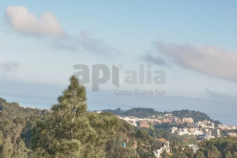 Villa con 2.000 m2 de parcela, privacidad total y gran potencial